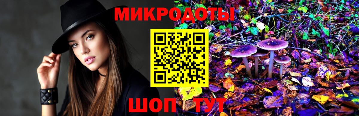 Галлюциногенные грибы GOLDEN TEACHER  Псилоцибиновые грибы Magic Shrooms  где продают наркотики  Вход с VPN  Сальск 